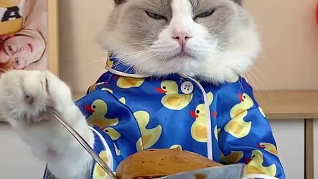 Taking the game to the next level