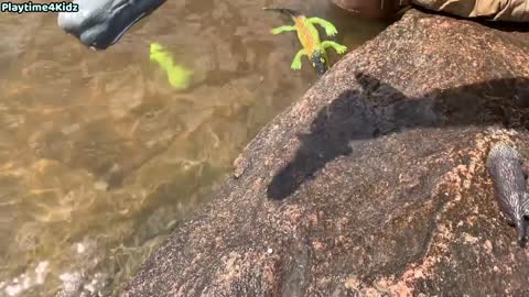 Sea Animal toys at the shore of Ottawa River Canada. This Summer at the Shore.