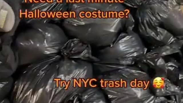 More Non-Human NYC Trash
