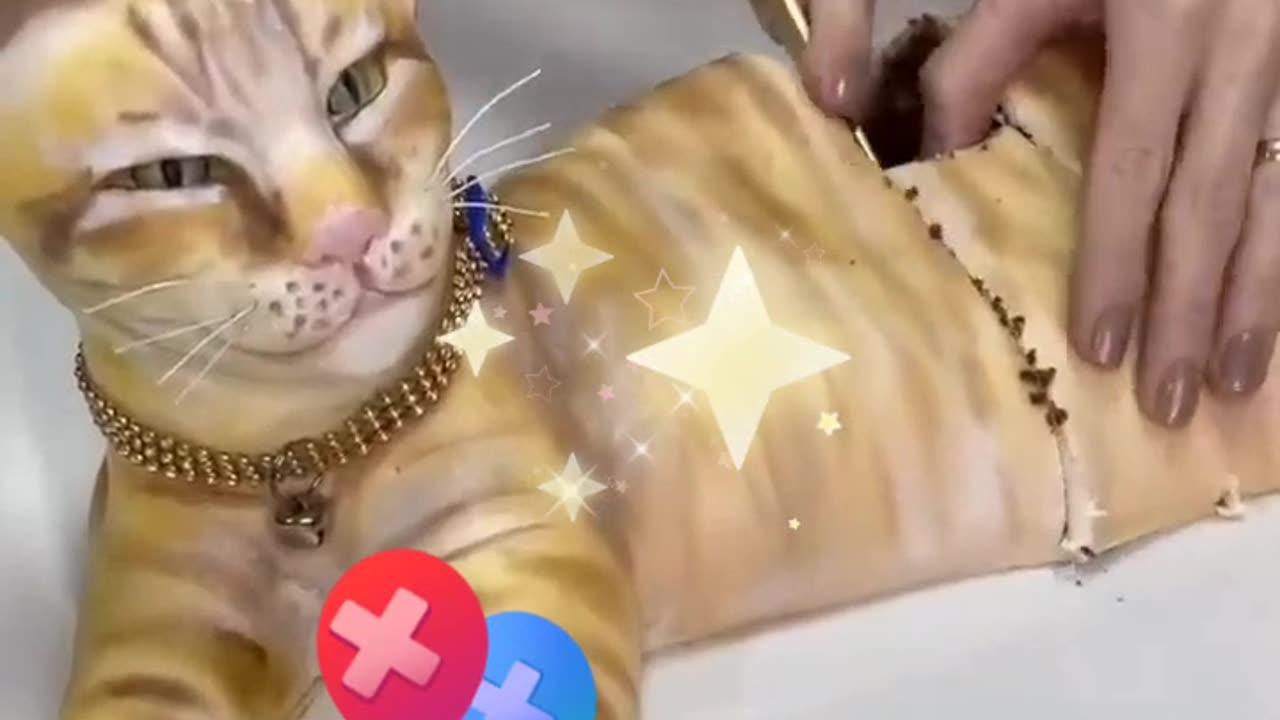 Cat 😺 cake 🍰