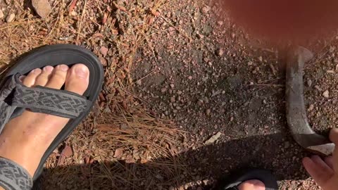 Wisconsin vlog