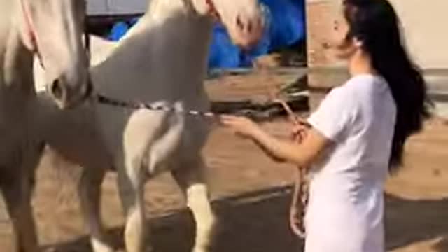 HORSE SO CUTE! CUTE AND FUNNY HORSE VIDEOS COMPILATION CUTE MOMRNT