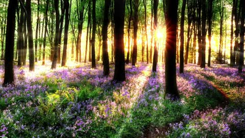 Relaxing Music | Sleeping, Meditation, Stress Relief | [5933] ⭐️