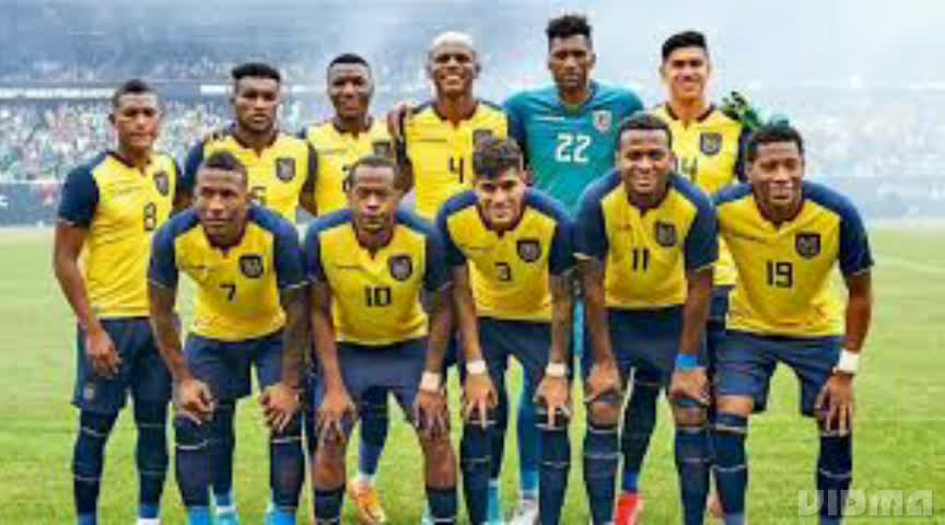 Prediksi Qatar Vs Ekuador Piala Dunia 2022, Lengkap Profil Bintang, Daftar Pemain dan Prestasi