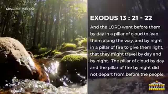 Wake Up Fully Trusting God For A Miracle | A Blessed Morning Prayer To Start Your Day!
