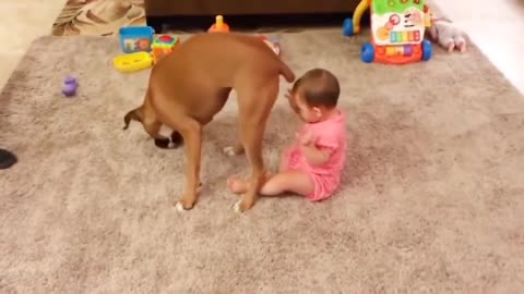 The baby play with a dog