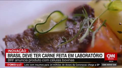 Brasil deve ter carne feita em laboratório , com mRNA