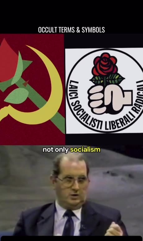 The Red Rose ๐น and Stars โญ๏ธ