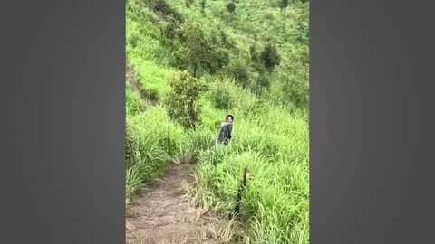 Epic Fails Funny Videos
