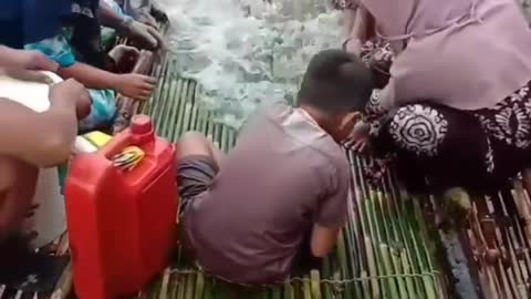 This is a beautiful and charming water-dwelling species