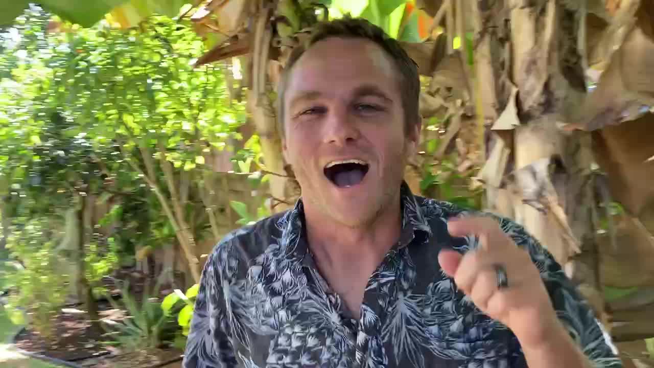 By the People Hawaii Launch!!