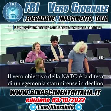 L'eurodeputato Wallace spiega la NATO - Vero Giornale 03.10.2022