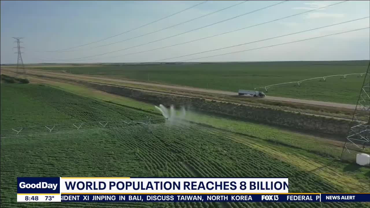 Global population to hit 8 billion