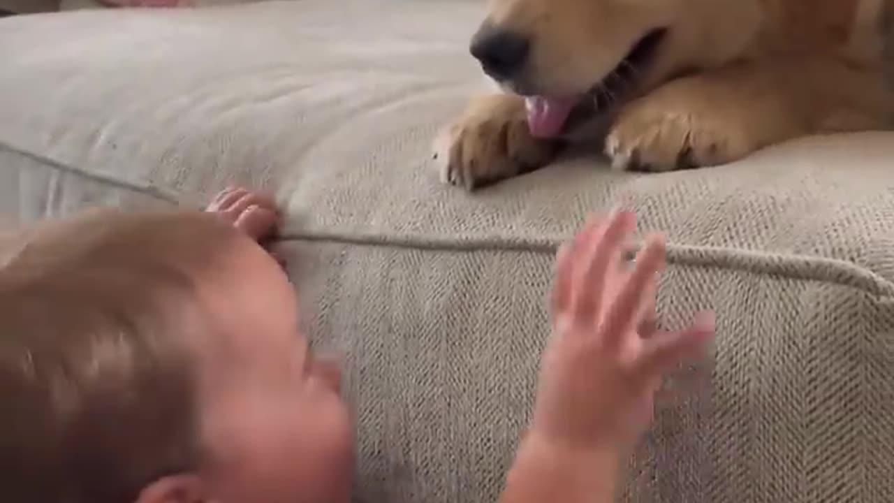 Baby Kisses Puppy 🐶 cute video