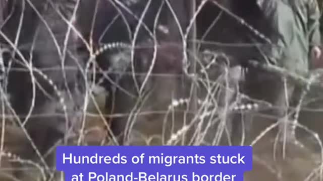 Hundreds of migrants stuck at Poland-Belarus border