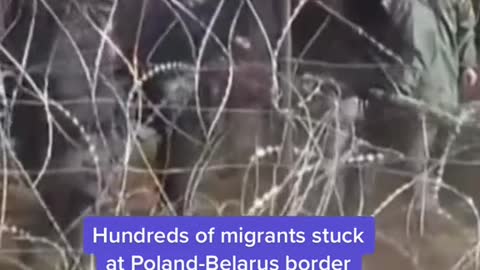 Hundreds of migrants stuck at Poland-Belarus border