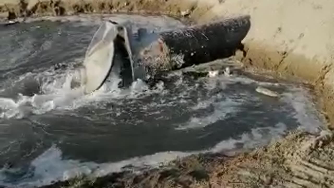 Video: ¡Es un hecho! Instalan bomba axial en El Laguito