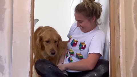 Building a Bedroom for the Dog Under the Stairs