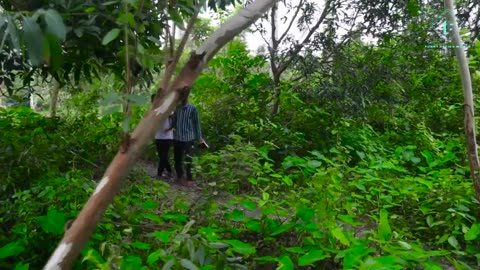 Jungle New funny 🤣 video storee