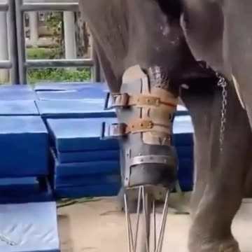 What an awesome thing to do 😍😍👍