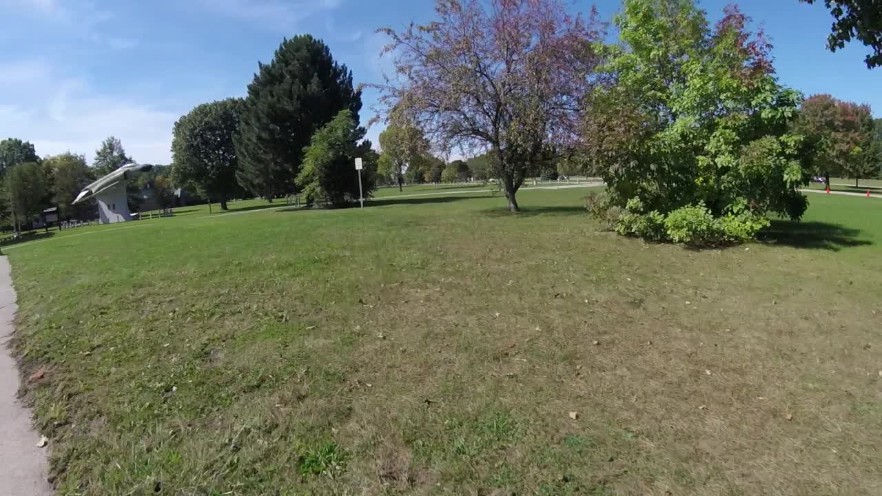 6 months into fpv