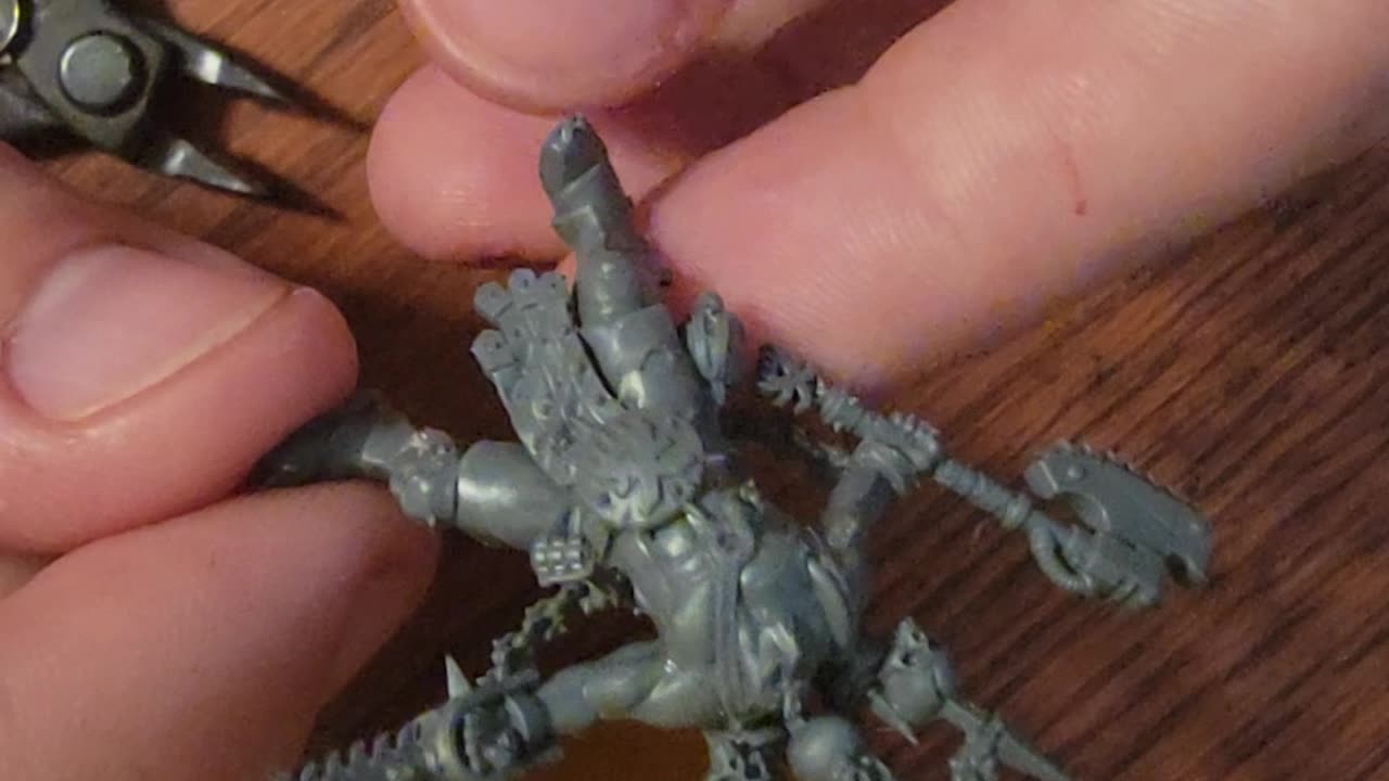 Who Let The Jakhals Out?!