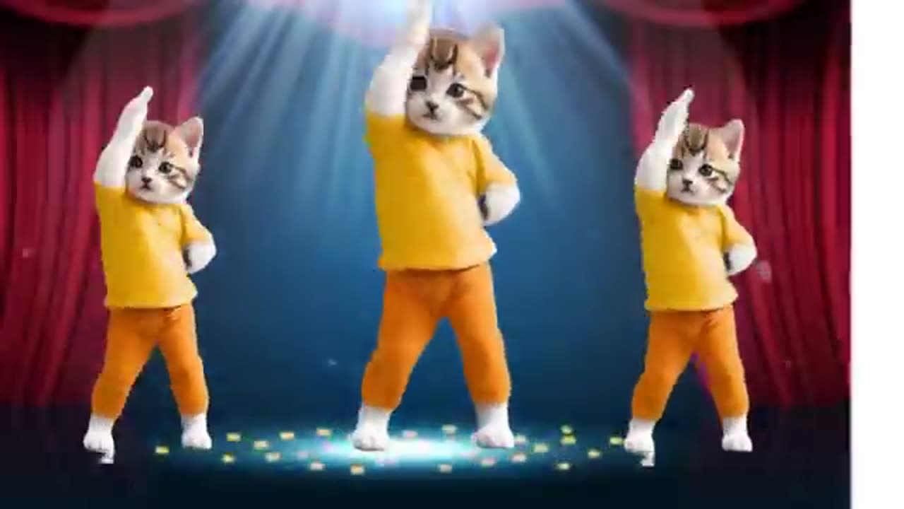 😻Cat videos funny dance 💃😃 #funnycats #dancingcat #catlovers