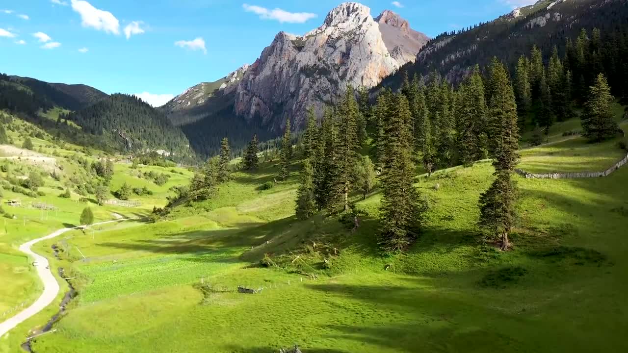 Canyon mountain forest landscape