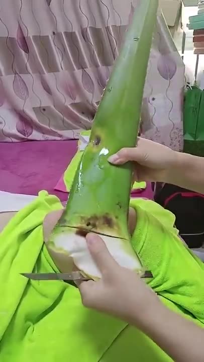 Very very secret Korean Tip with Alovera BRILLIANT BEAUTY IDEAS THAT WILL MAKE YOU SHINE BY ALOVERA