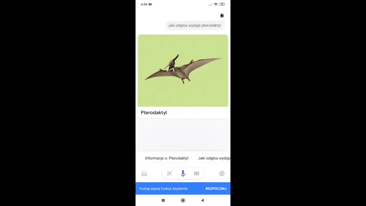 Krzyk Pterodaktyla