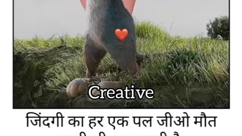 Zindagi ka har ek