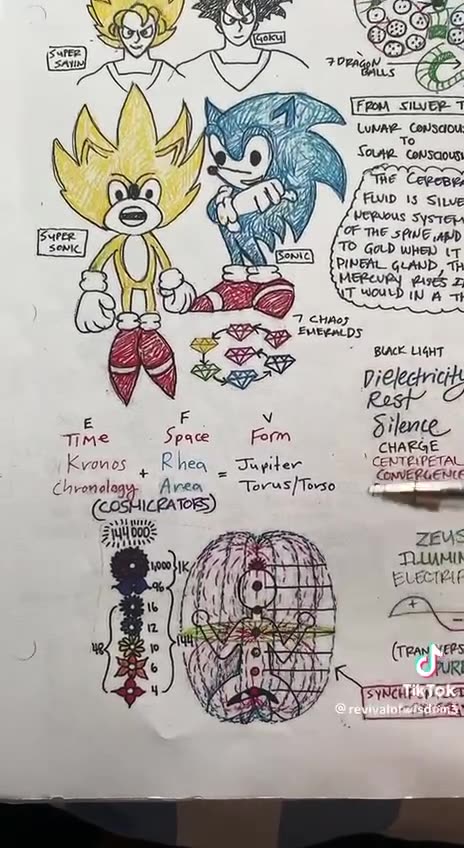 The NEOCortex, the higher mind