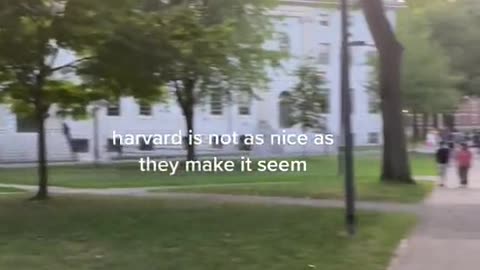 harvard is not as nice as they make it seem.