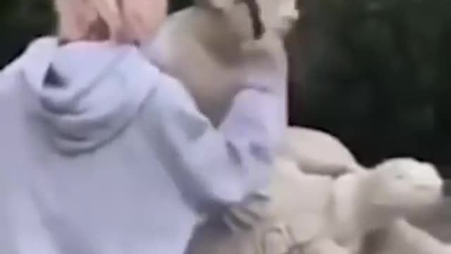 Model knocks nose off statue