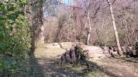 Palos mtb