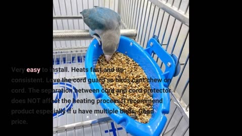 Ogioxam Bird Heater Thermostatical Bird Warmer for-Overview