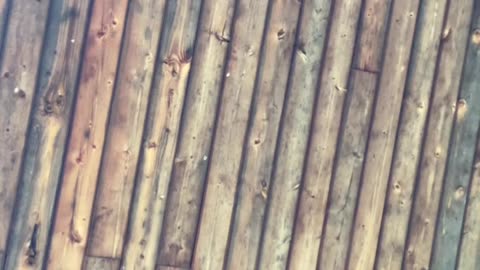 Hey attention to this brainwashed way of thinking that we have. I keep saying it