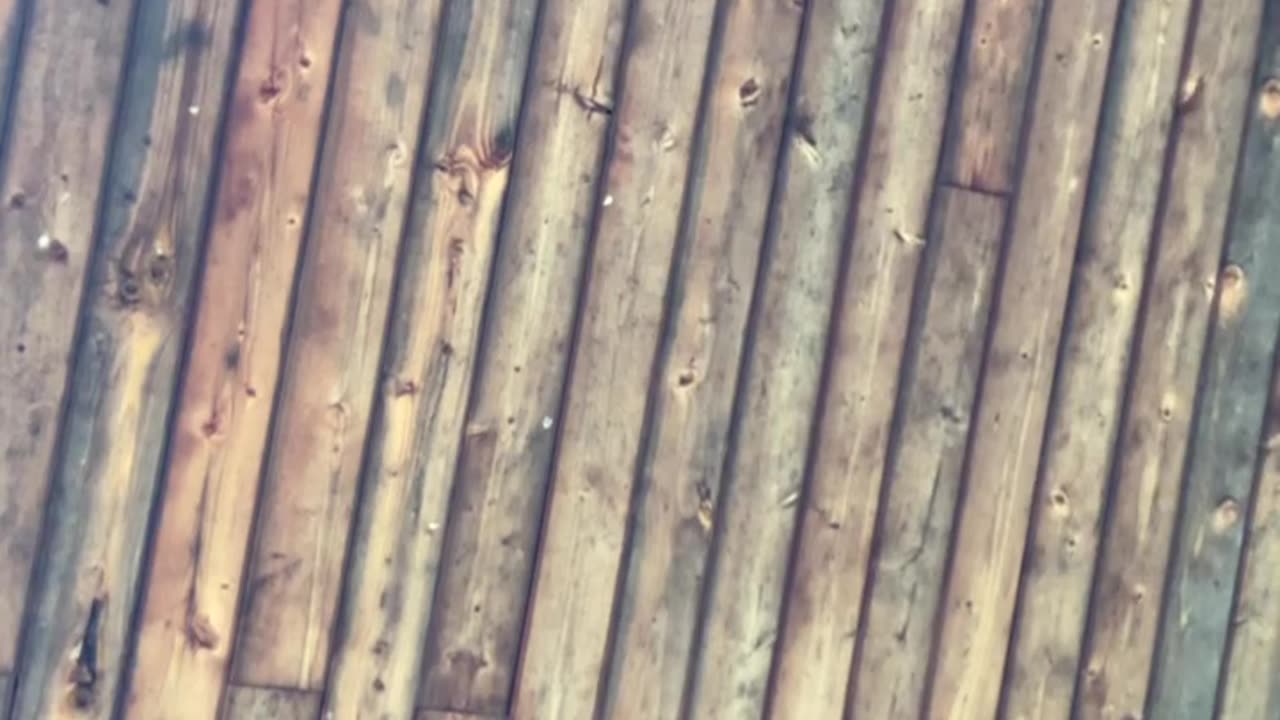 Hey attention to this brainwashed way of thinking that we have. I keep saying it