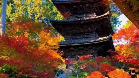 Kyoto in Japan #travel #japan #best