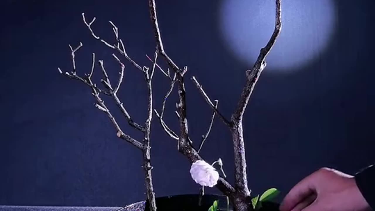 Ikebana 018: Oriental Style Natural Flower Arrangement Artistic Creativity