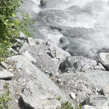 возле ручья