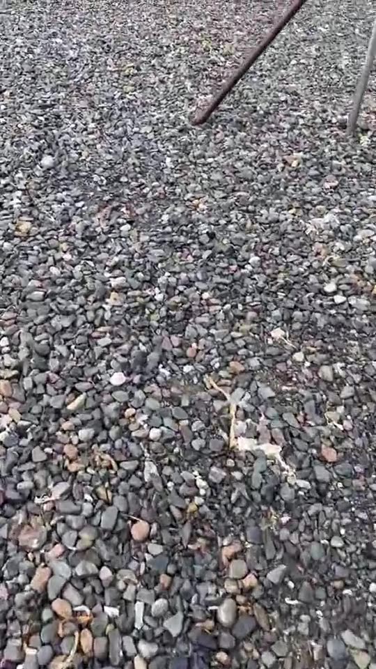 Japan Sirens sounding in Hokkaido and citizens urged to seek shelter after North Korea fired missile