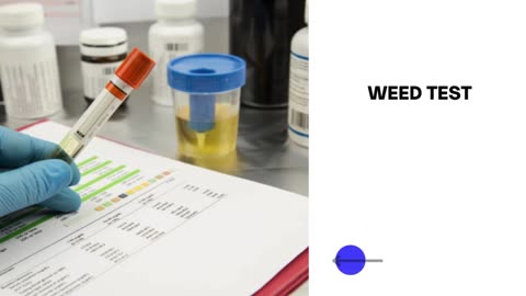 How Weed Drunkenness is Tested: Procedures and Technologies Explained?