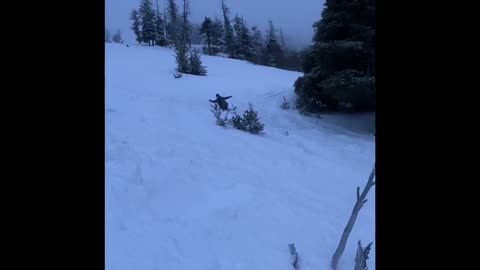 Snowboarder slams tree and kart wheels!