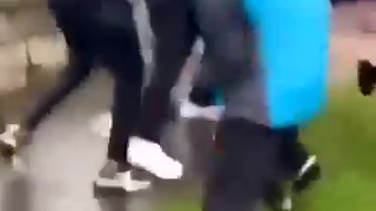 Irish woman and her son attacked by a gang of aggressive Africans.