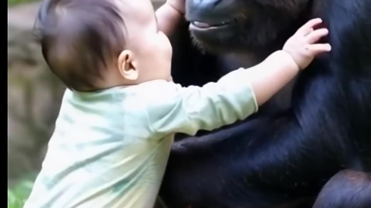 Toddler Plays with Gentle Gorilla – Adorable and Unbelievable! #ai