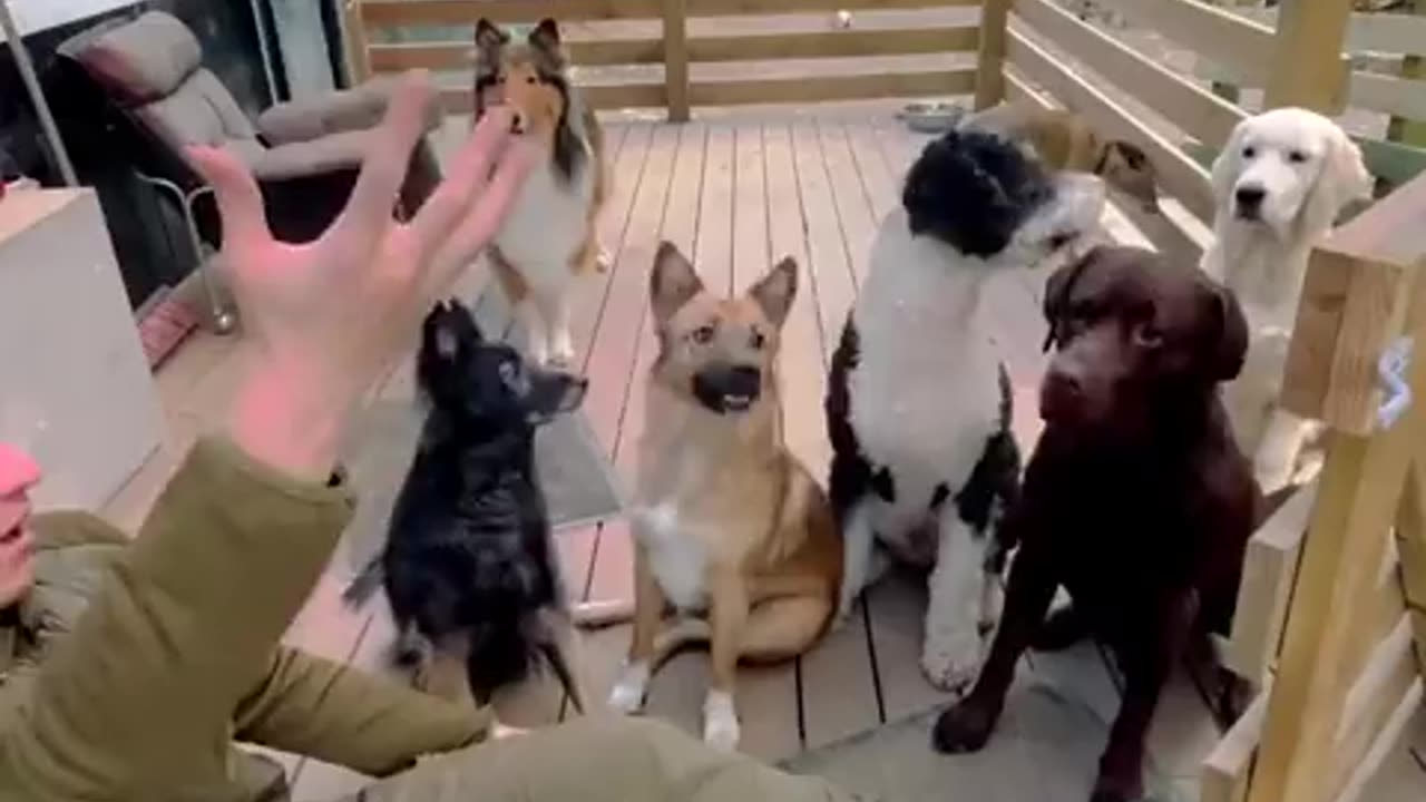 Where the Ball Go?