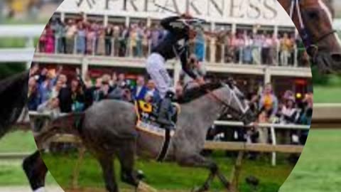 What time does Preakness 2024 start? Mystik Dan seeks second Triple Crown win