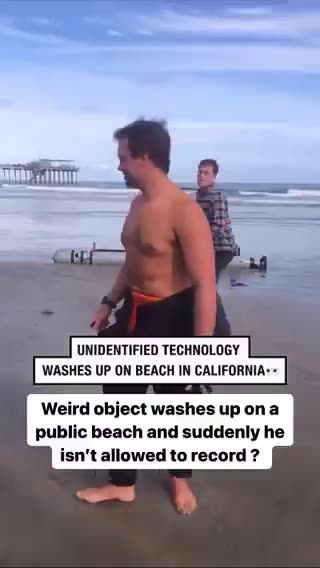 Concerned Citizen-Whatever was this thing that washed up on a Californian beach?