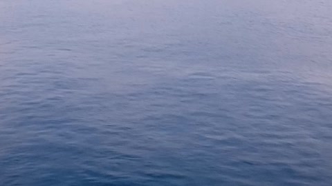 Kapal Laut
